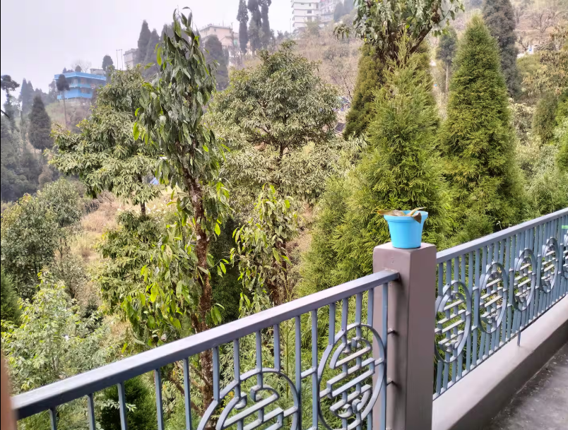 TETSTSTTSTSTSTSTSTSTSTTSTSTSTSTSTSTSTTS property photo